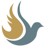 pk22_taube_flamme